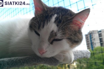 Siatki Racibórz - Siatka na balkony dla kota i zabezpieczenie dzieci dla terenów Racibórza