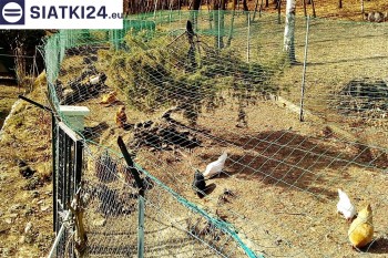 Siatki Racibórz - Siatka na woliery - zabezpieczenia ptaków w hodowli dla terenów Racibórza